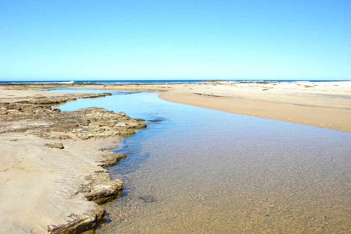 Things to do in Swan Lake NSW - 07