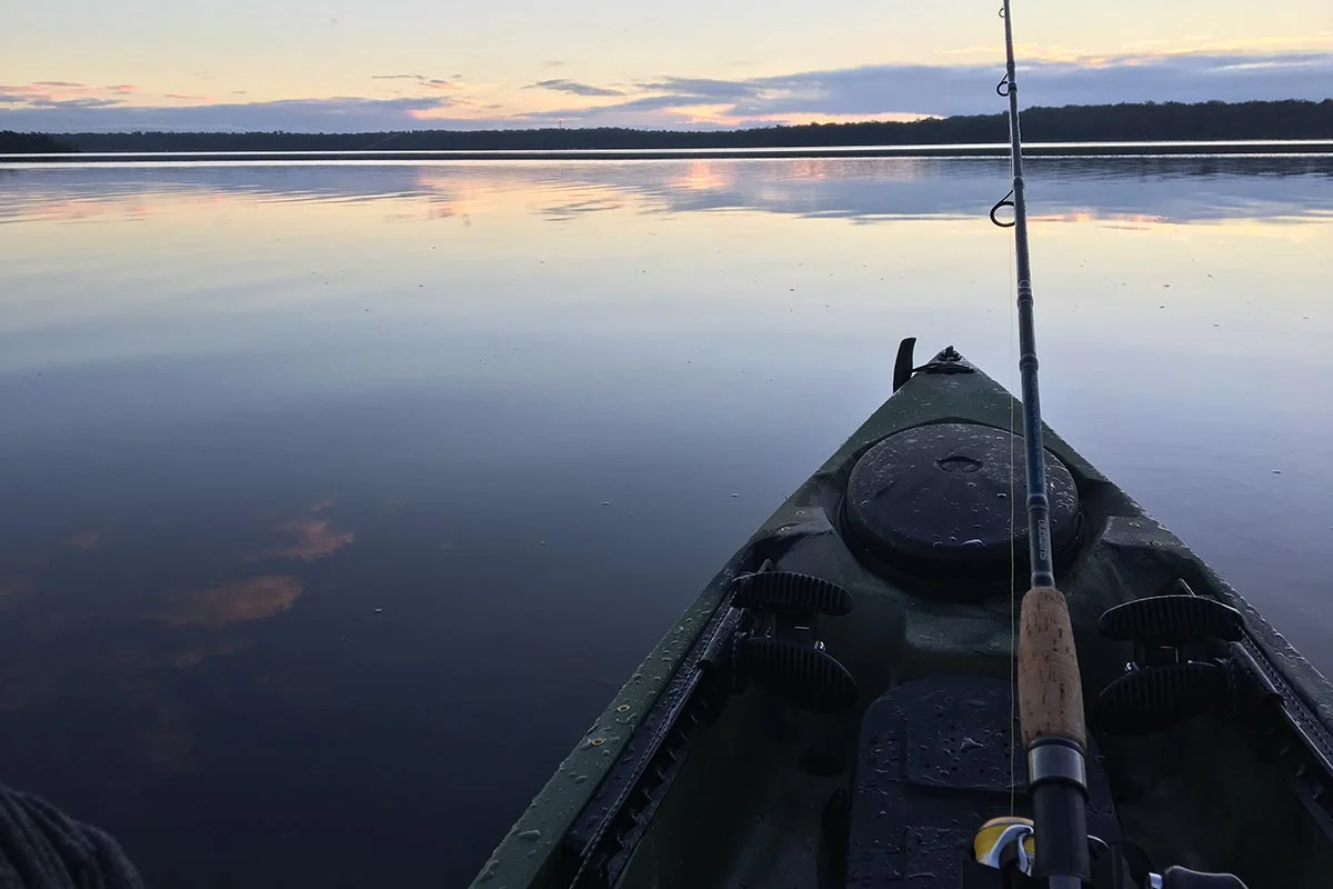 Things to do in Swan Lake NSW - Fishing